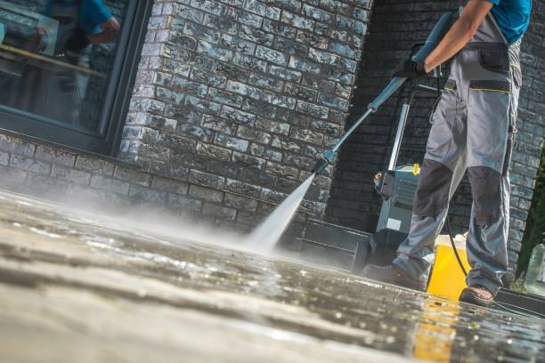 Best Vinyl Siding Pressure Washing in Lone Tree, IA